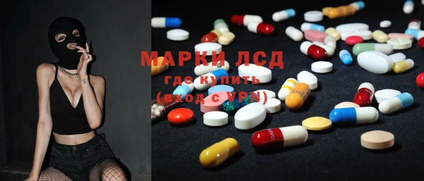 стаф Аркадак