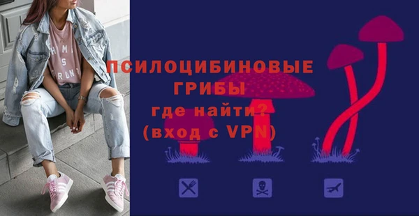 стаф Аркадак