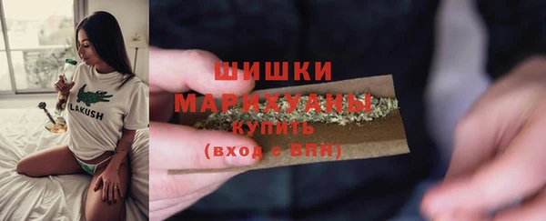 стаф Аркадак