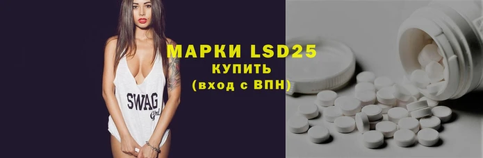 стаф Аркадак