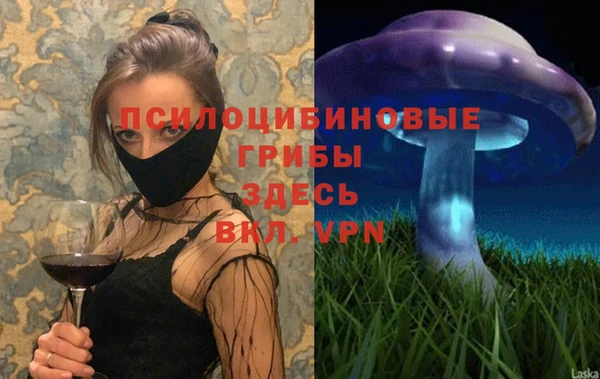 прущий лед Армянск