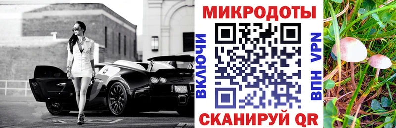 закладка  Спас-Деменск  Псилоцибиновые грибы мухоморы 